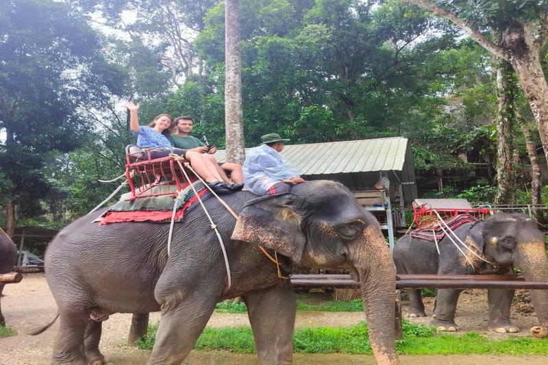 "Embark on an elephant ride through Thailand´s jungle, where you can immerse yourself in 